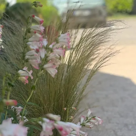 فندق كيرياد إيبرناي 3*
