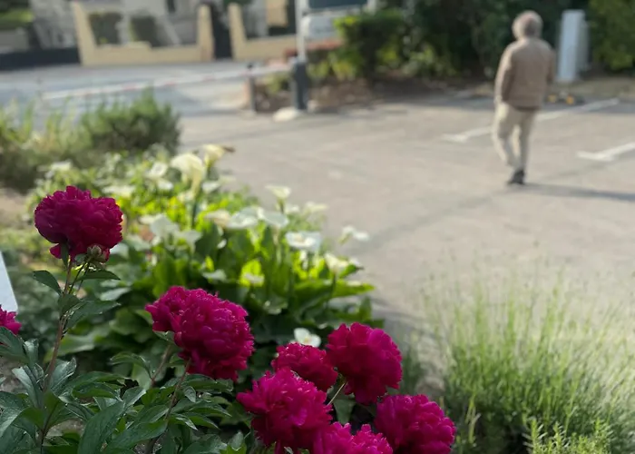 Hotel Kyriad En Champagne
