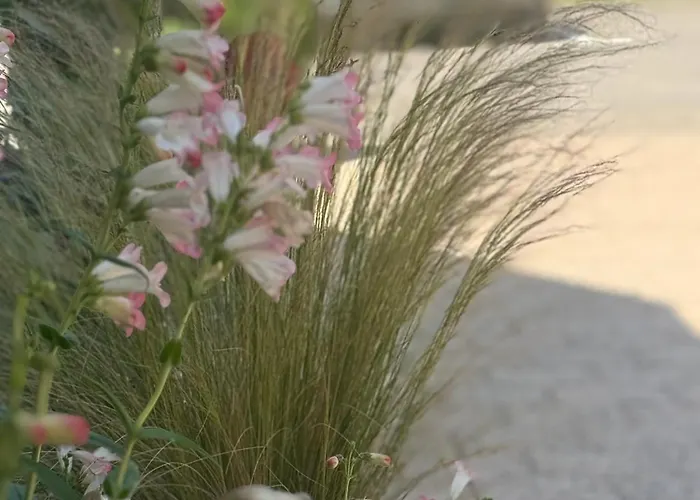 Szálloda Kyriad En Champagne 3*